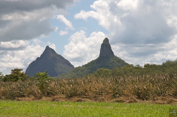 AustraliaEast 10  011-1